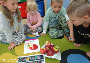 prezentacja budowy jabłek